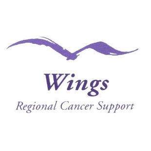 Wings+logo